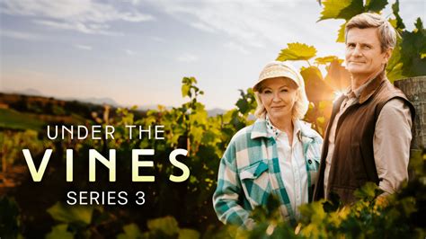 Under The Vines Series 3 Perpetual Entertainment