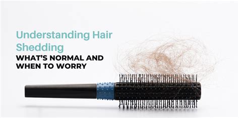 Understanding Hair Shedding What Amp 39 S Normal And When To Worry