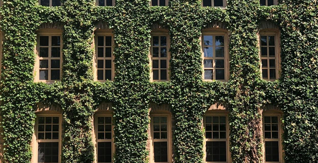 What The U S News 2025 Best Colleges Rankings Tell Us About The Future Of Academia Higher Education Publication