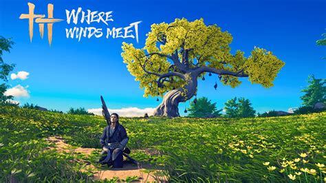 Where Winds Meet Character Creation Amp Gameplay Pc 4K Youtube