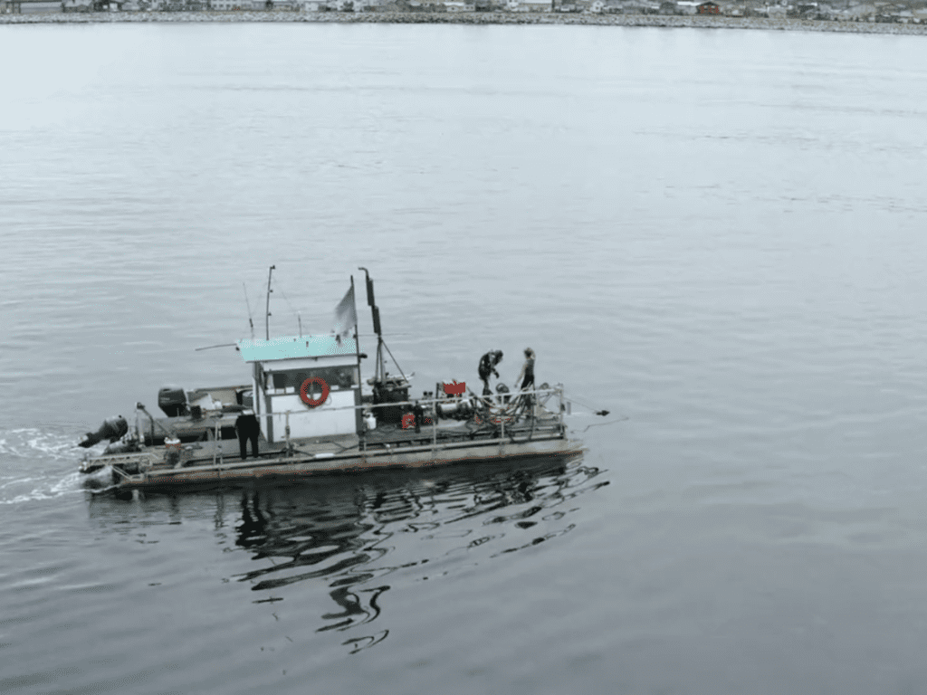 Why Is Jane Kilcher On Bering Sea Gold Emily Riedel Explains