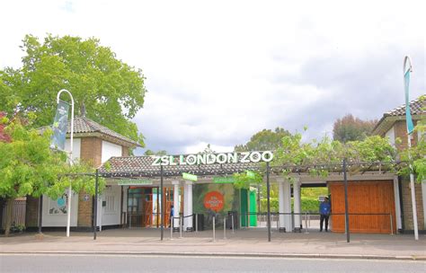 Zsl London Zoo Regent Amp 39 S Park London Uk 19Th Aug 2024 The Annual Weigh In Is A Chance For Zsl London Zoo Regent Amp 39 S Park London Uk 19Th Aug 2024 The Annual Weigh In Is A Chance For